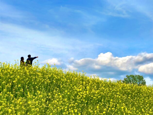 エクセレンス青山（結婚相談所）の料金・口コミは？特徴と注意点を解説のイメージ画像 2